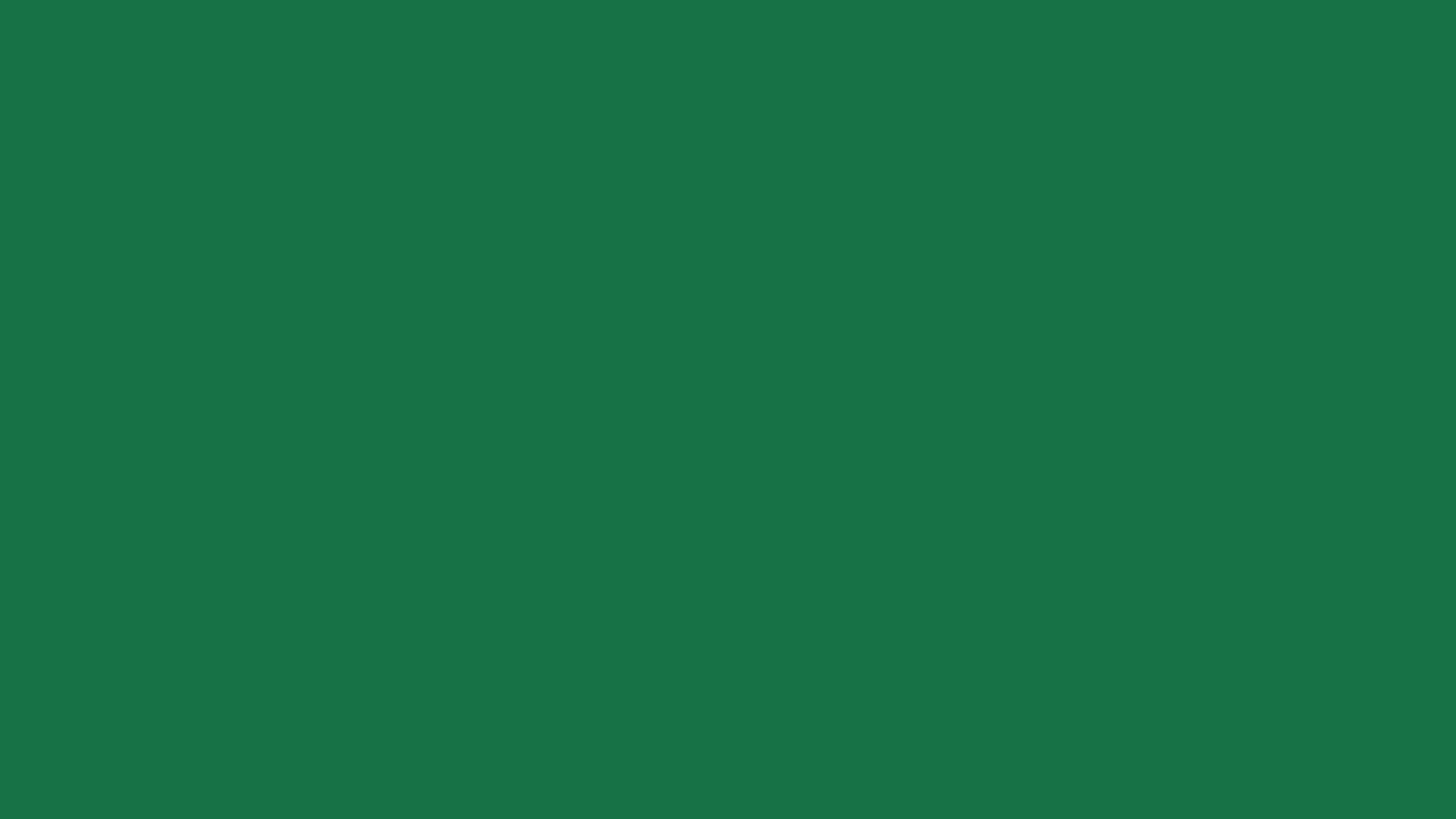 2560x1440 Dark Spring Green Solid Color Background