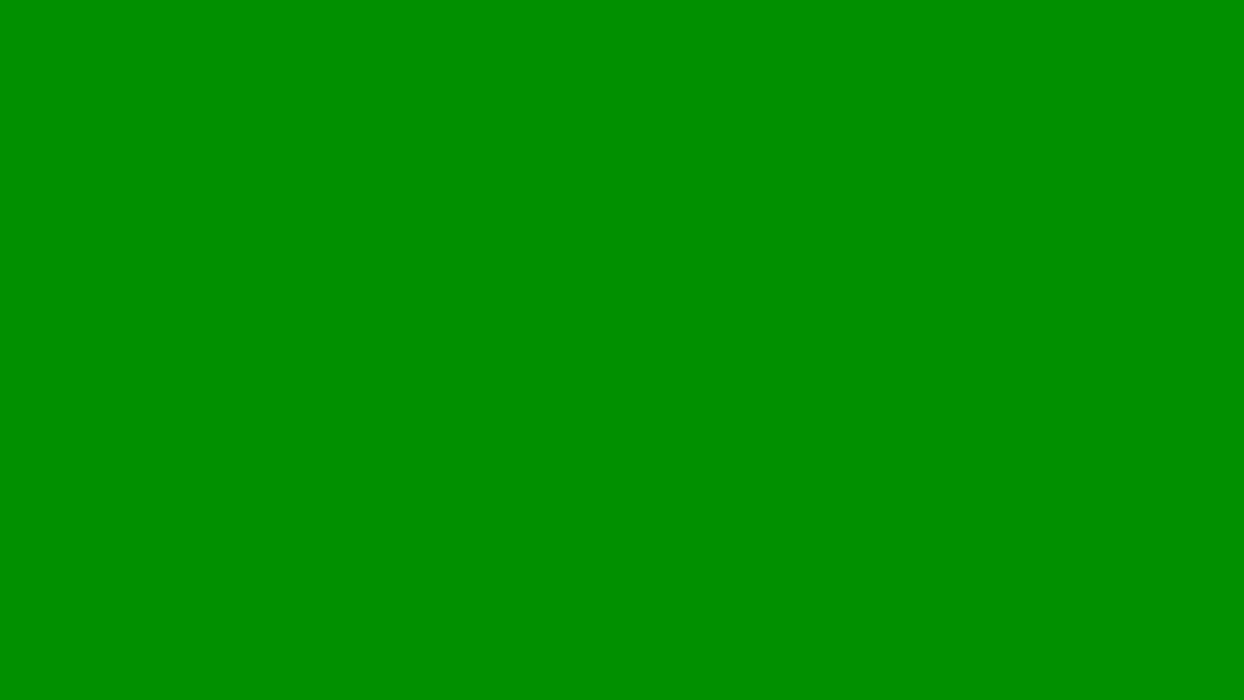 2560x1440 Islamic Green Solid Color Background