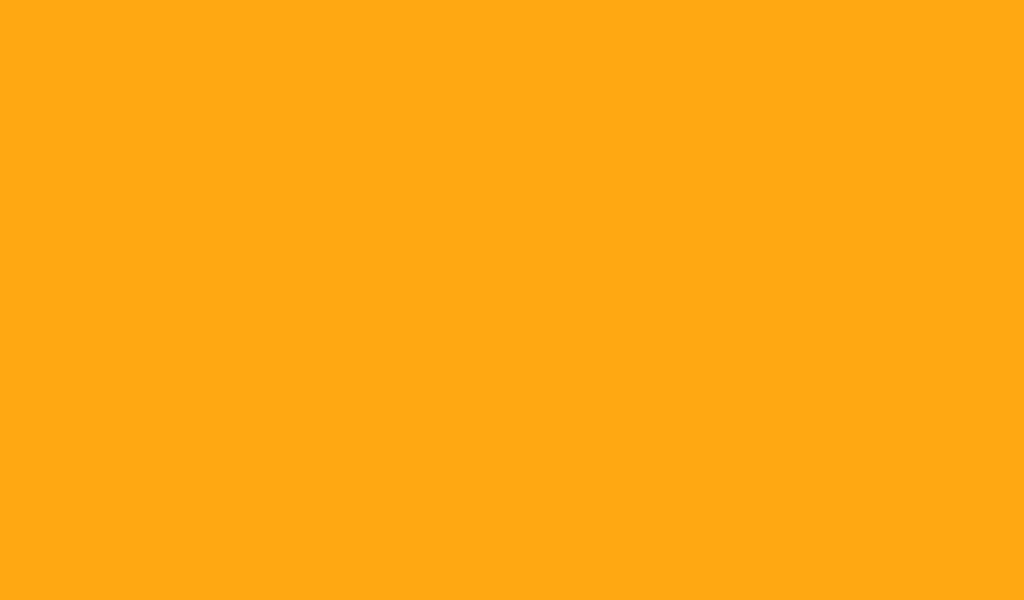1024x600 Dark Tangerine Solid Color Background