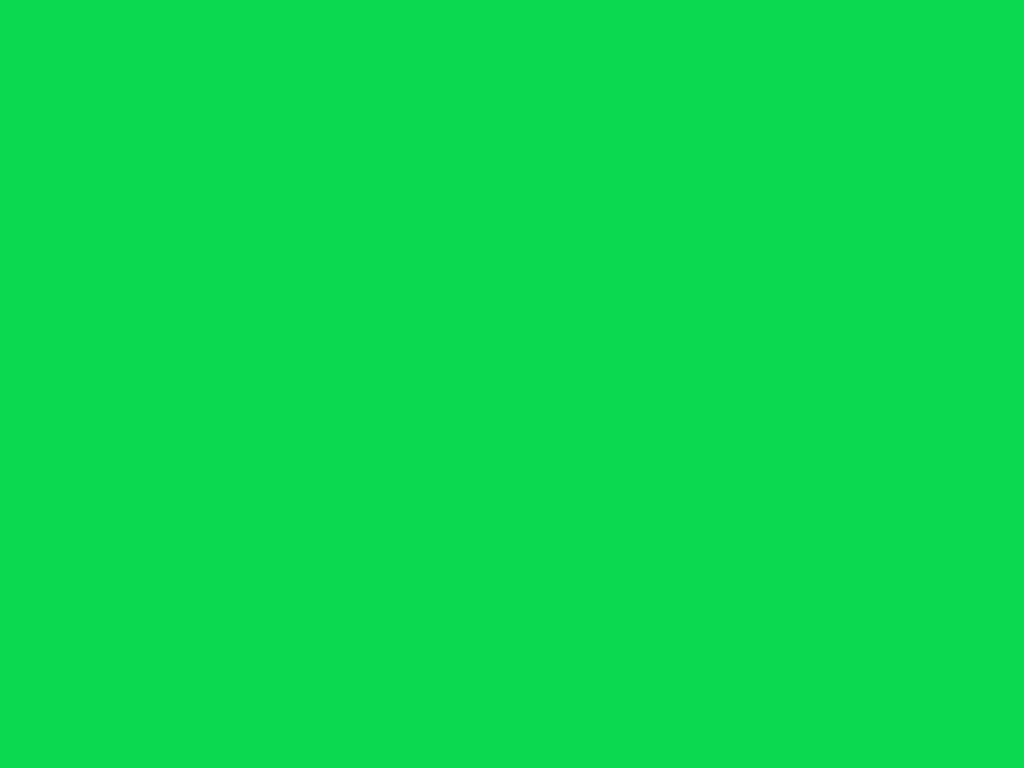 1024x768 Malachite Solid Color Background