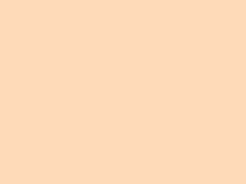 1024x768 Peach Puff Solid Color Background