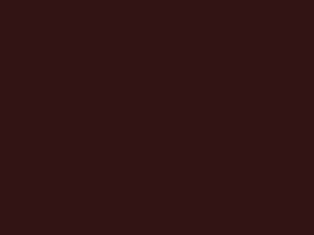 1024x768 Seal Brown Solid Color Background