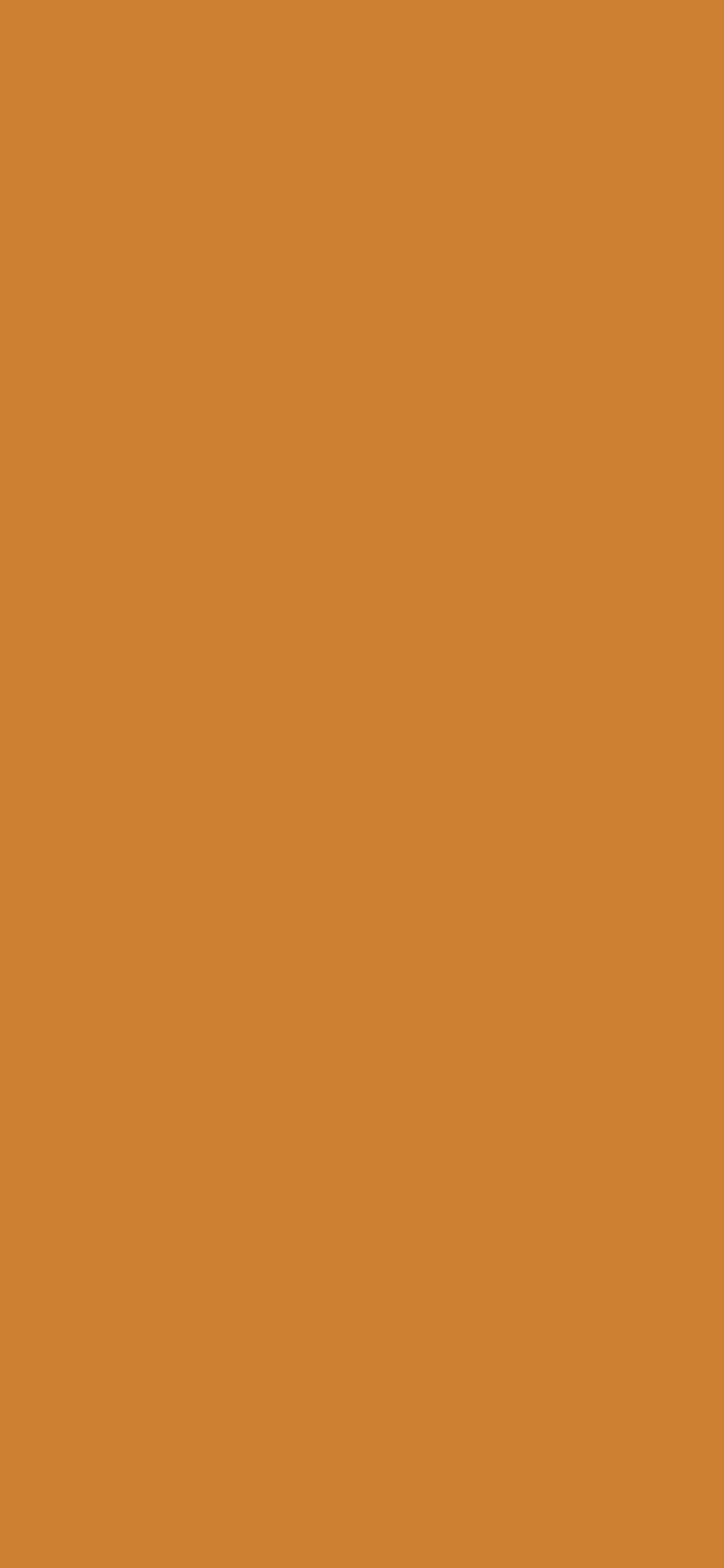 1125x2436 Bronze Solid Color Background