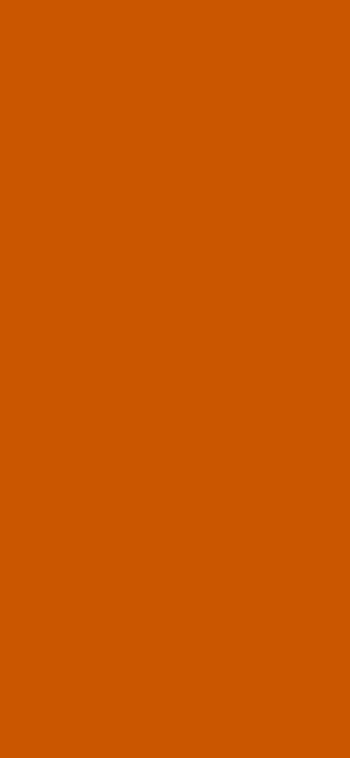 1125x2436 Burnt Orange Solid Color Background
