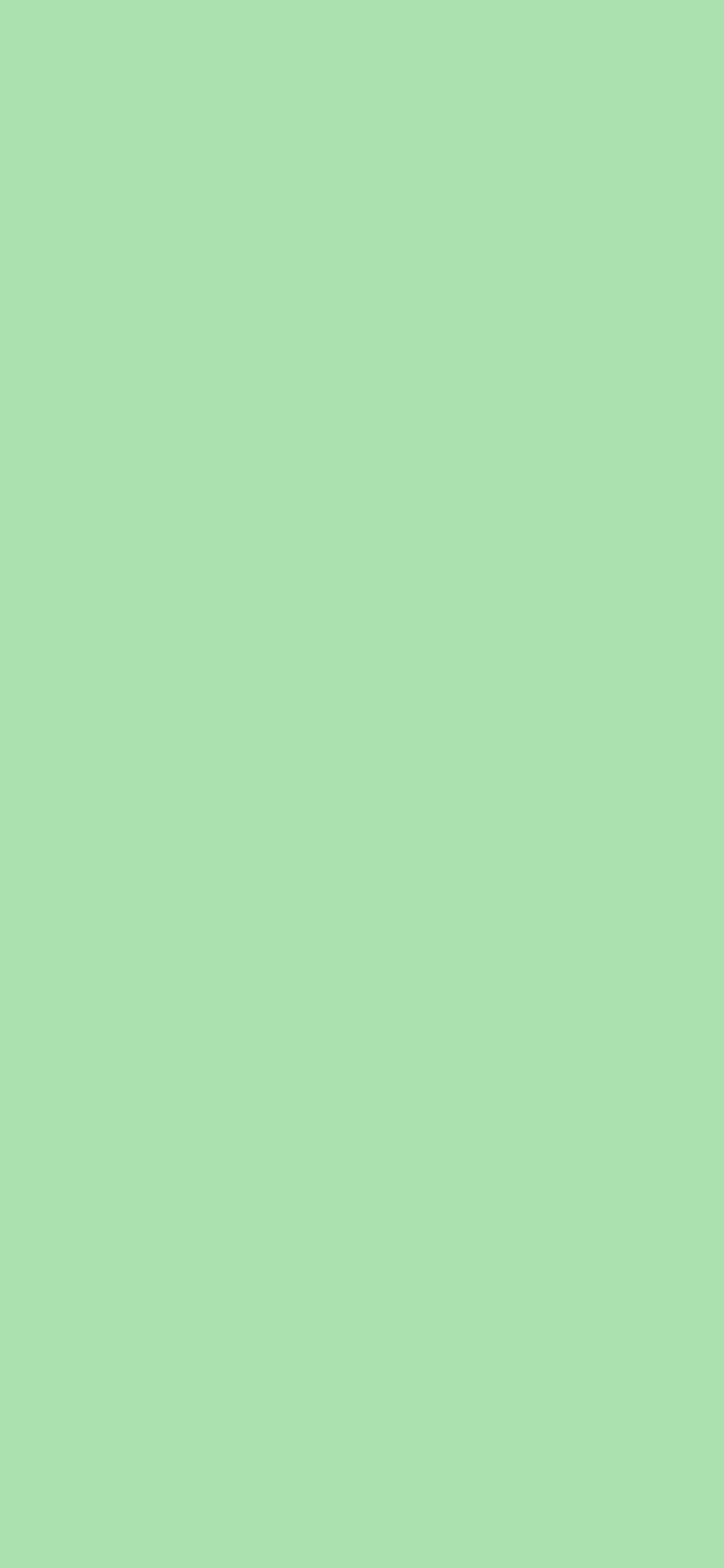 1125x2436 Celadon Solid Color Background