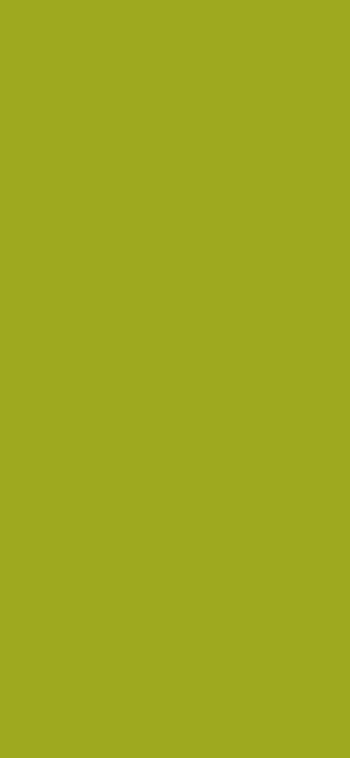 1125x2436 Citron Solid Color Background