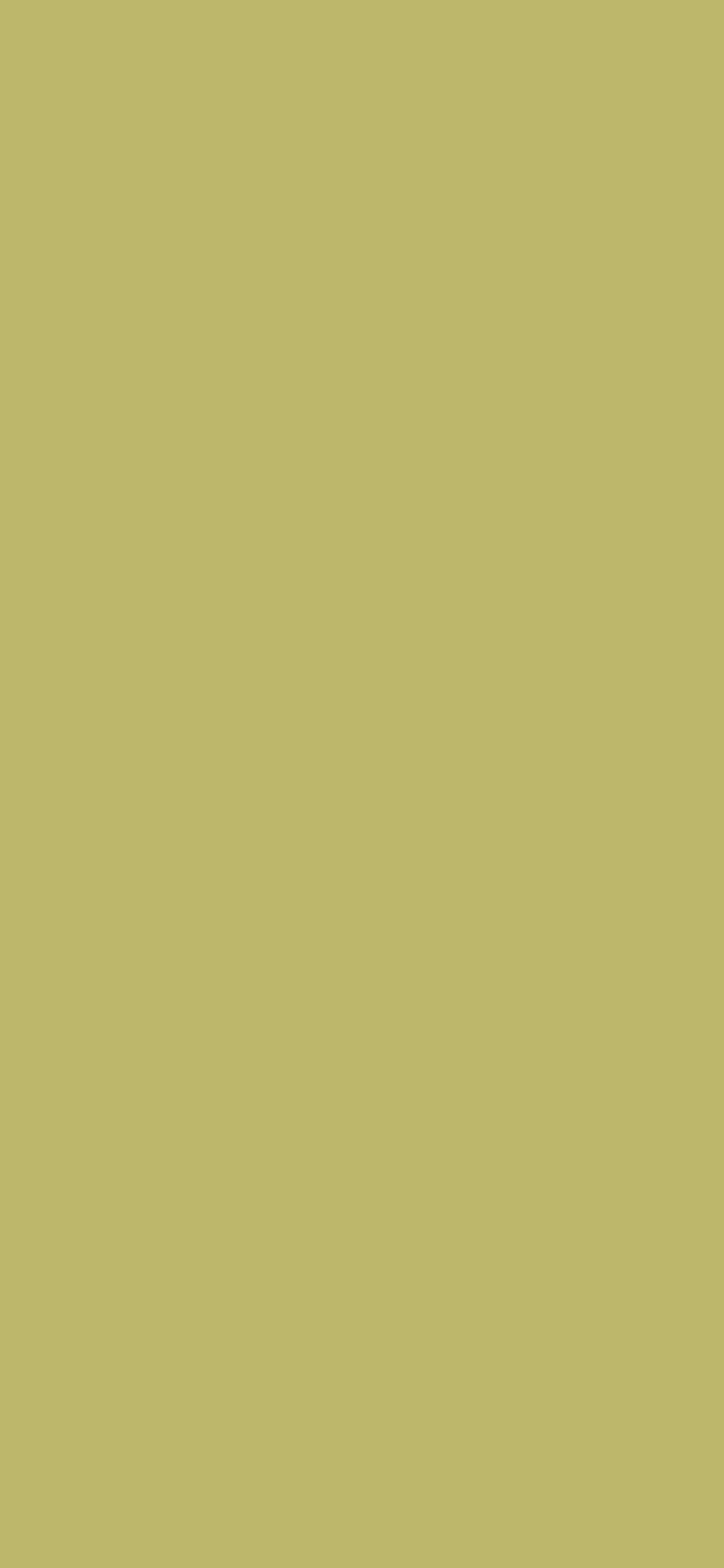 1125x2436 Dark Khaki Solid Color Background