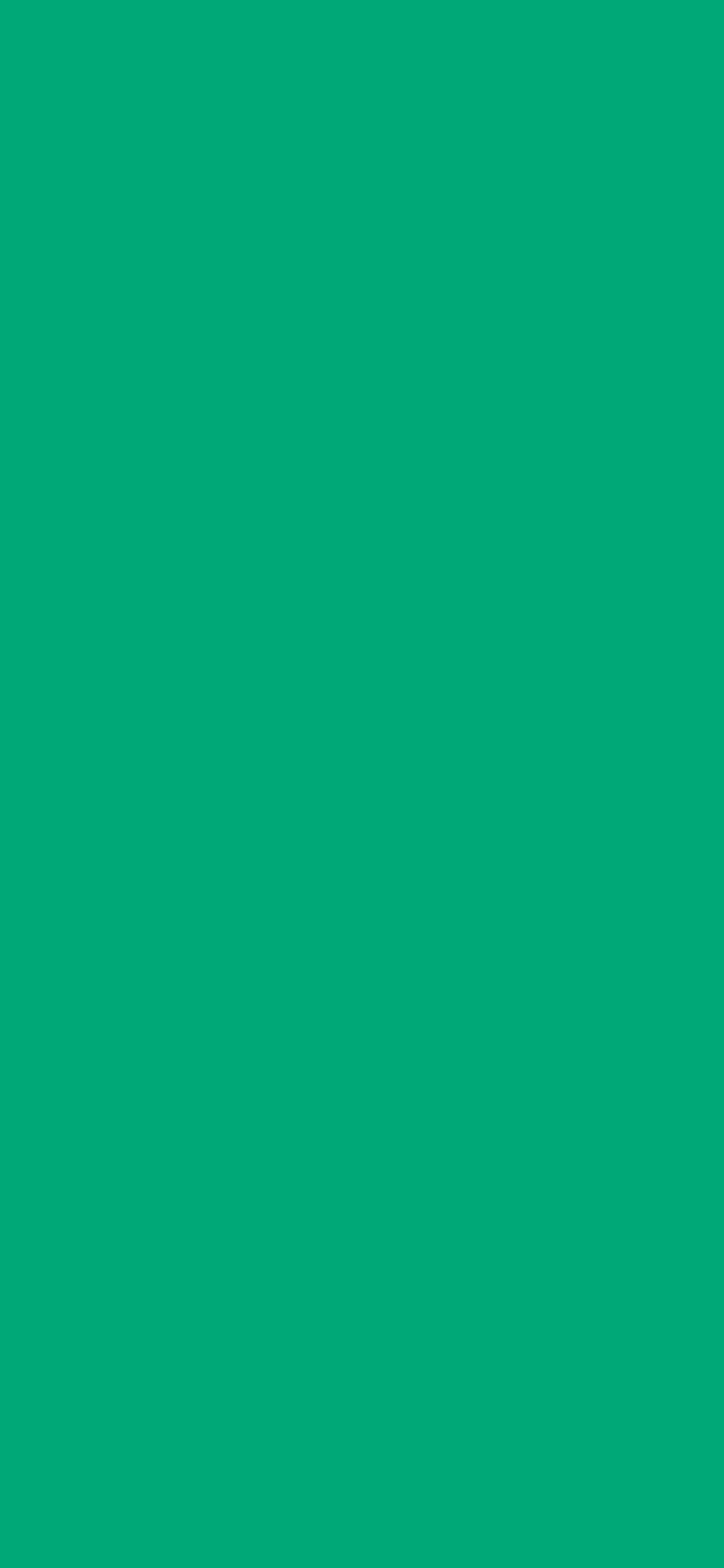 1125x2436 Green Munsell Solid Color Background