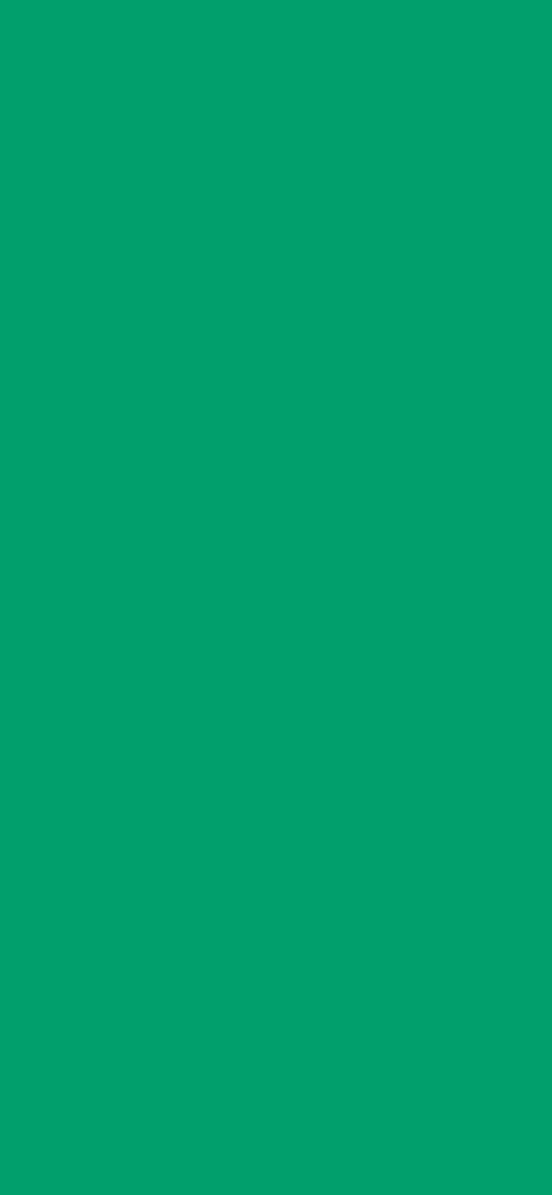 1125x2436 Green NCS Solid Color Background