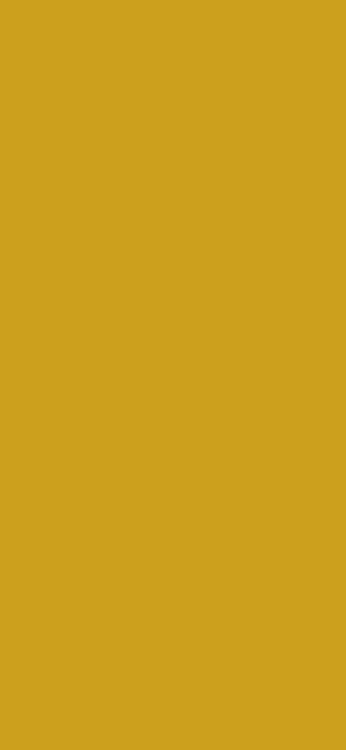1125x2436 Lemon Curry Solid Color Background