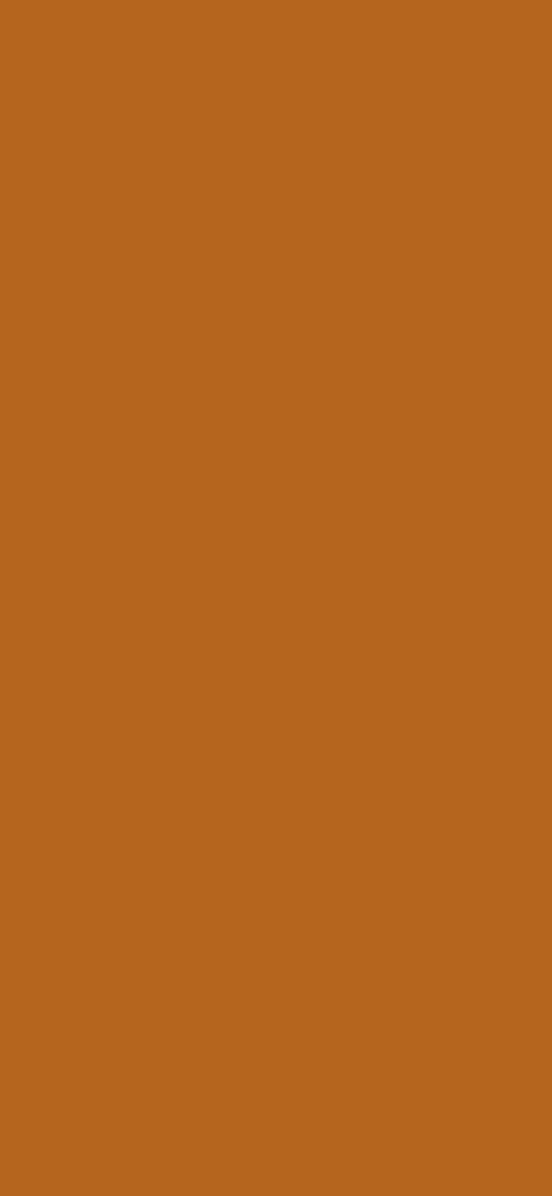1125x2436 Light Brown Solid Color Background