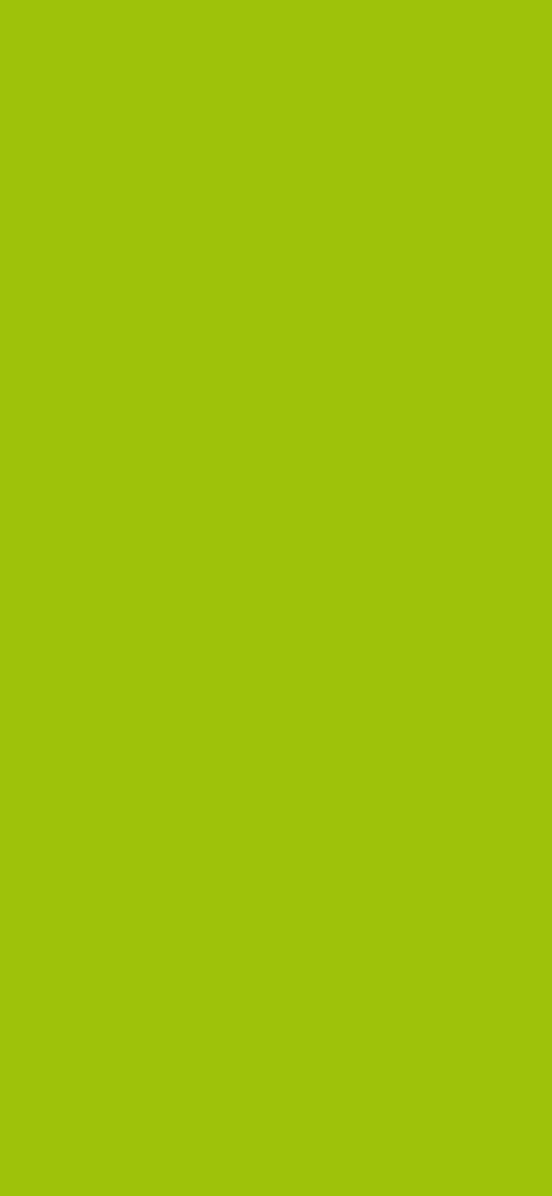 1125x2436 Limerick Solid Color Background