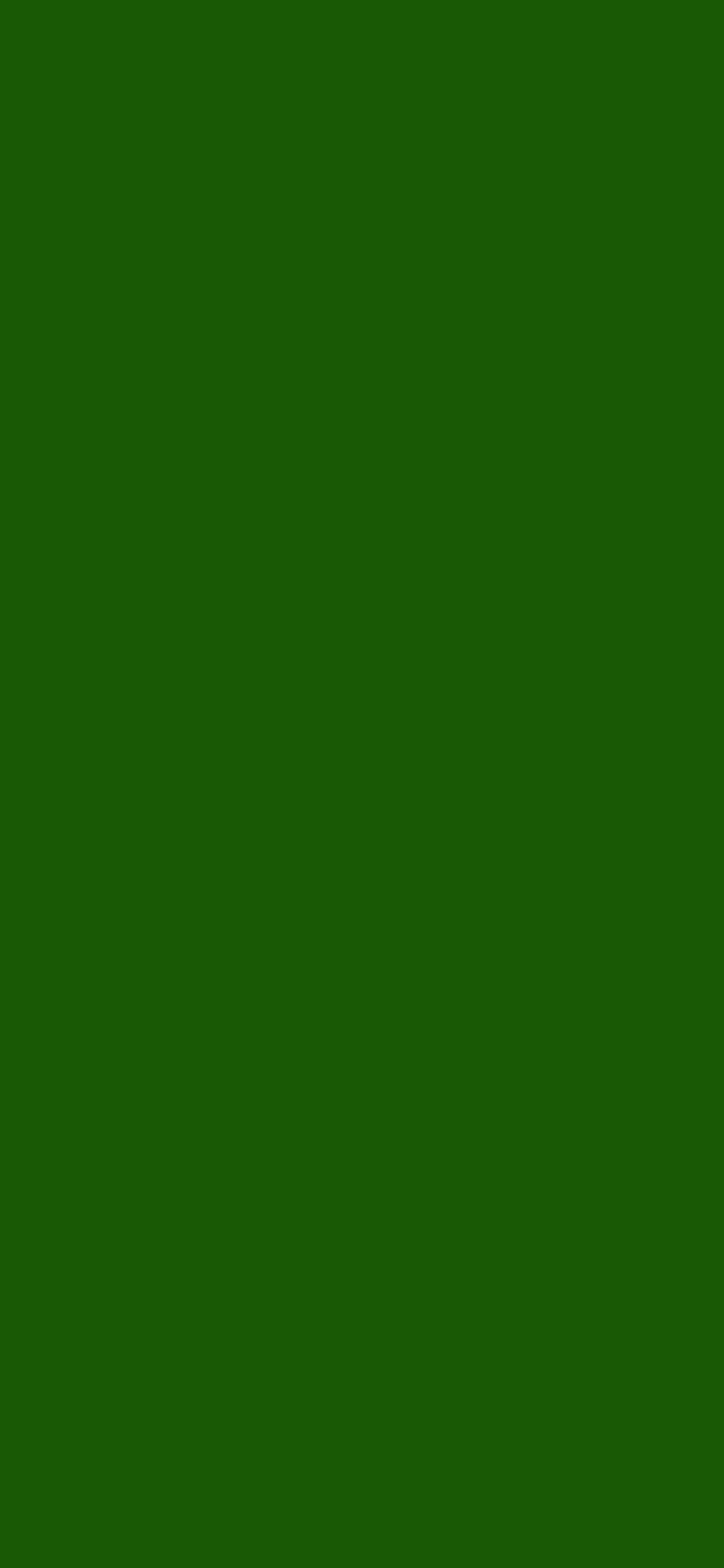 1125x2436 Lincoln Green Solid Color Background