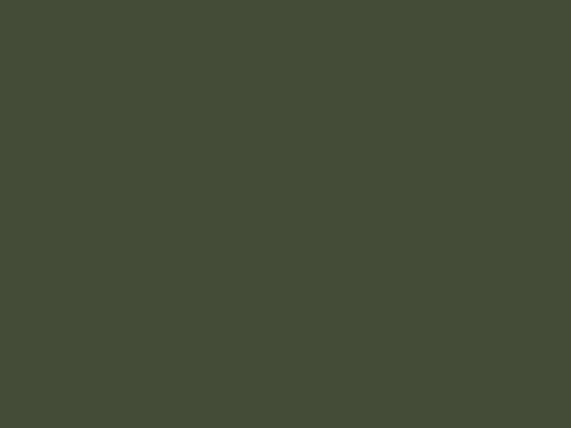 1152x864 Rifle Green Solid Color Background