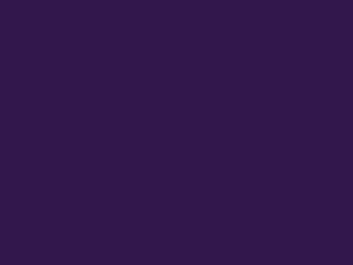 1152x864 Russian Violet Solid Color Background
