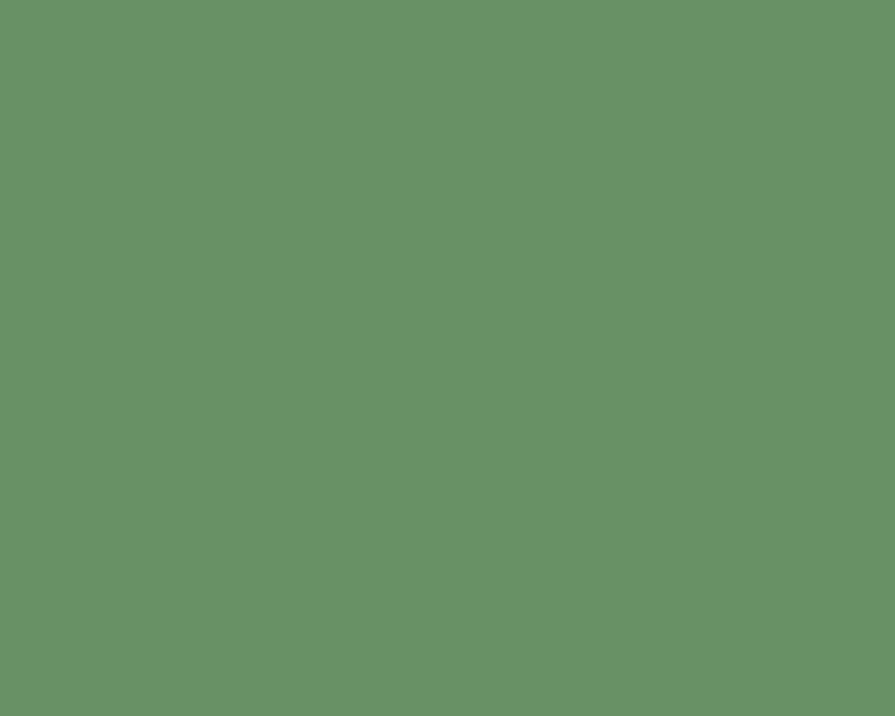 1280x1024 Russian Green Solid Color Background