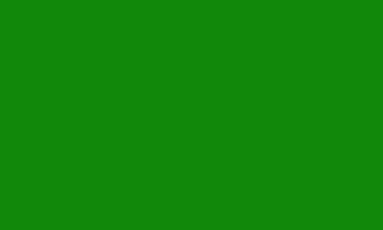 1280x768 India Green Solid Color Background