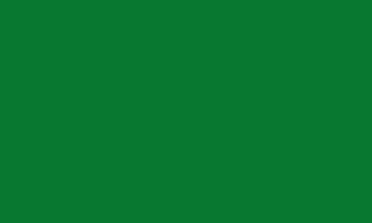 1280x768 La Salle Green Solid Color Background
