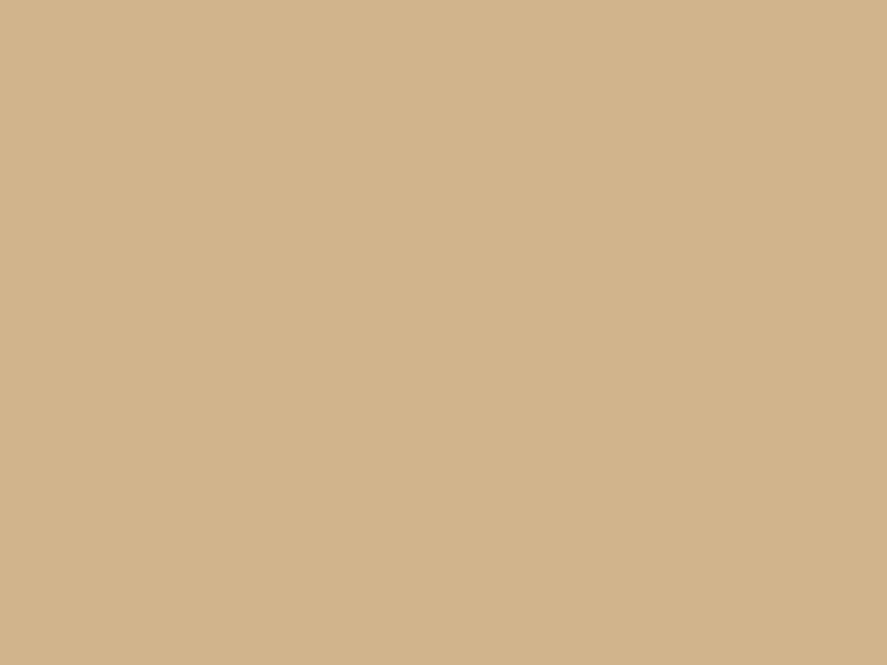 1280x960 Tan Solid Color Background