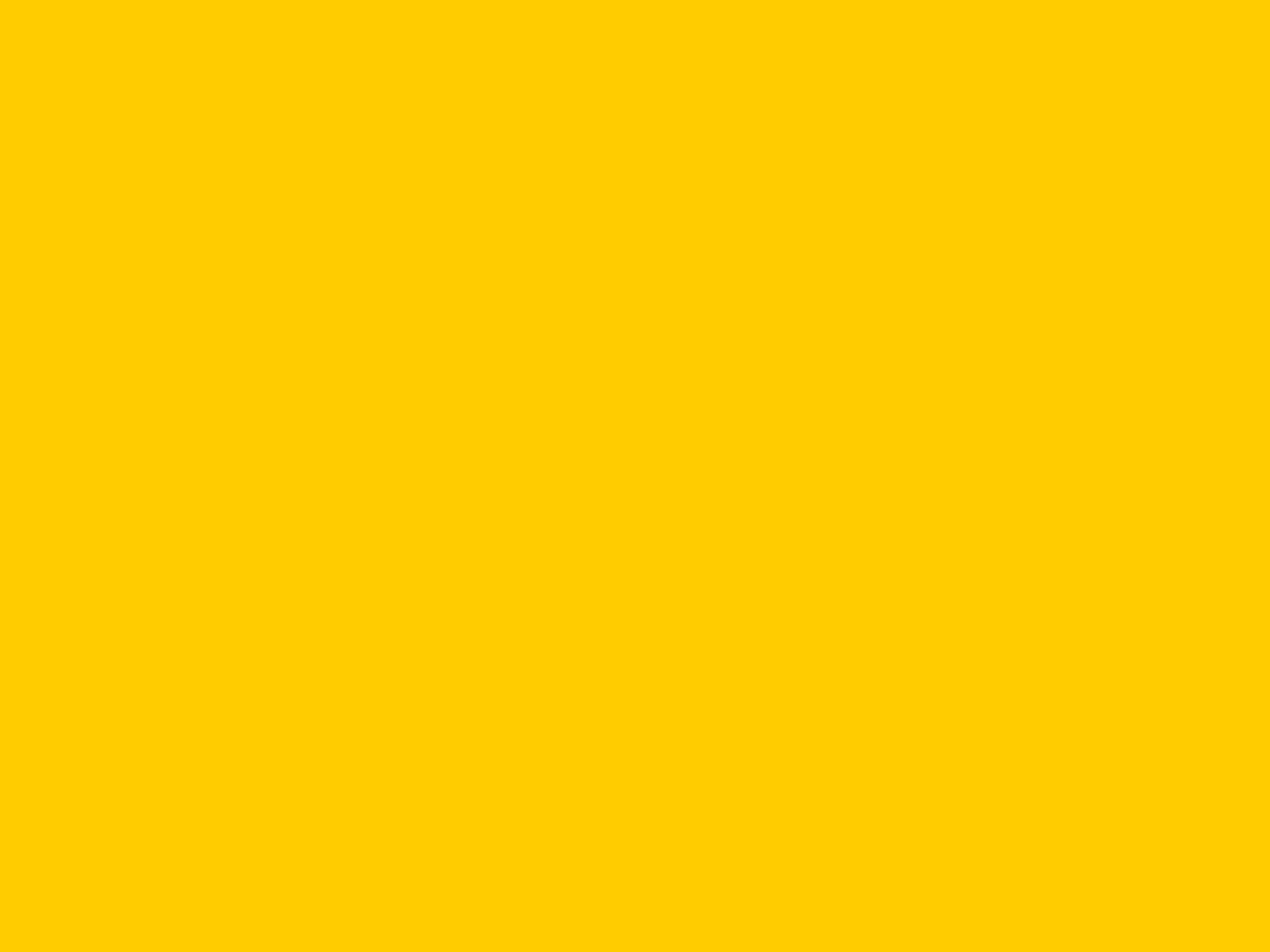 1600x1200 Tangerine Yellow Solid Color Background