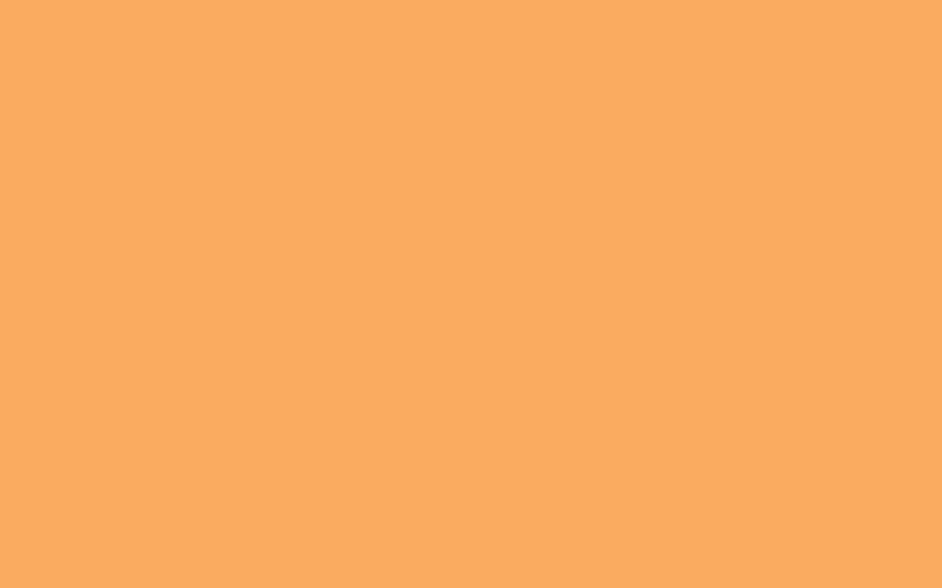 1920x1200 Rajah Solid Color Background
