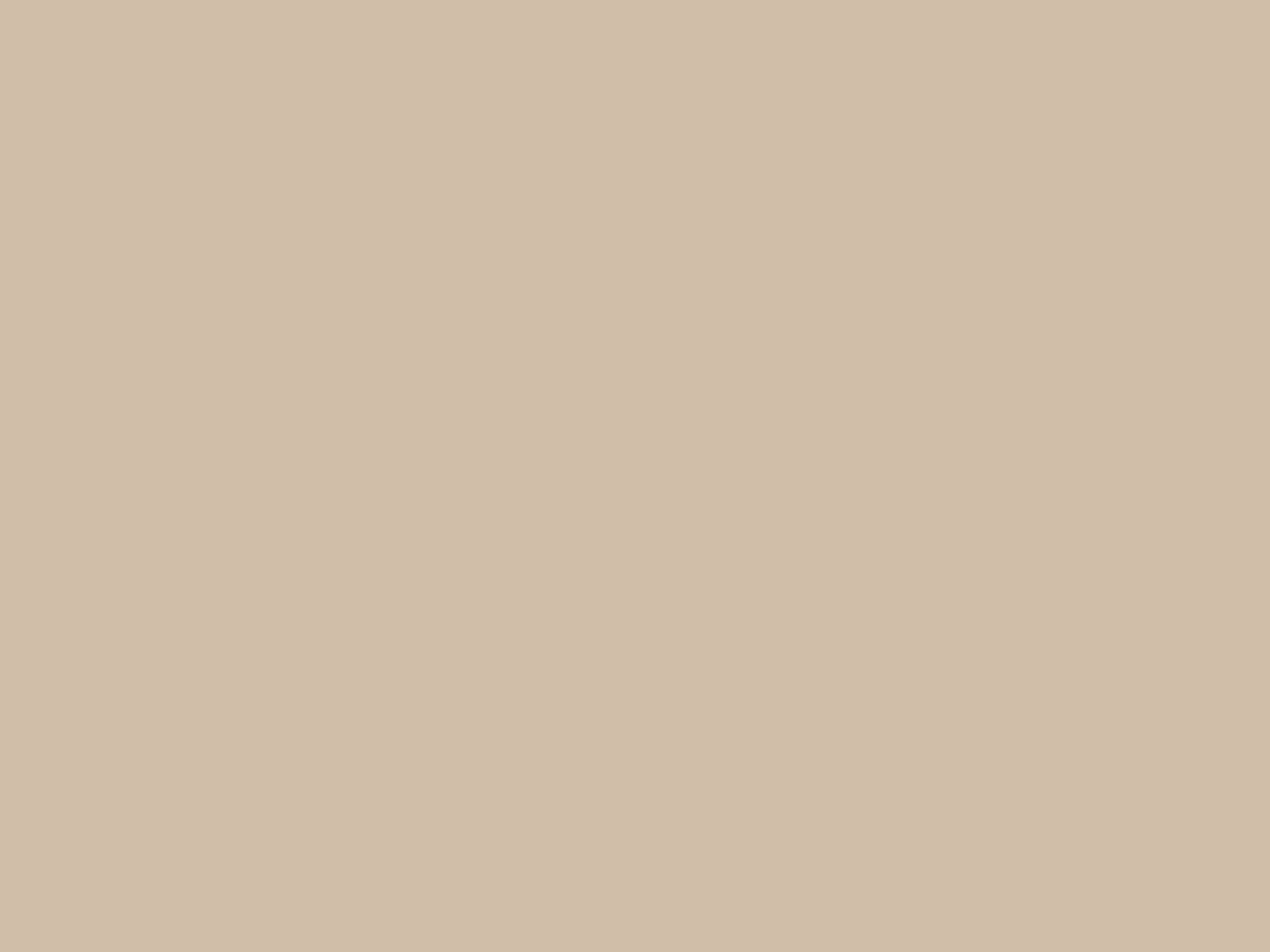 2048x1536 Dark Vanilla Solid Color Background