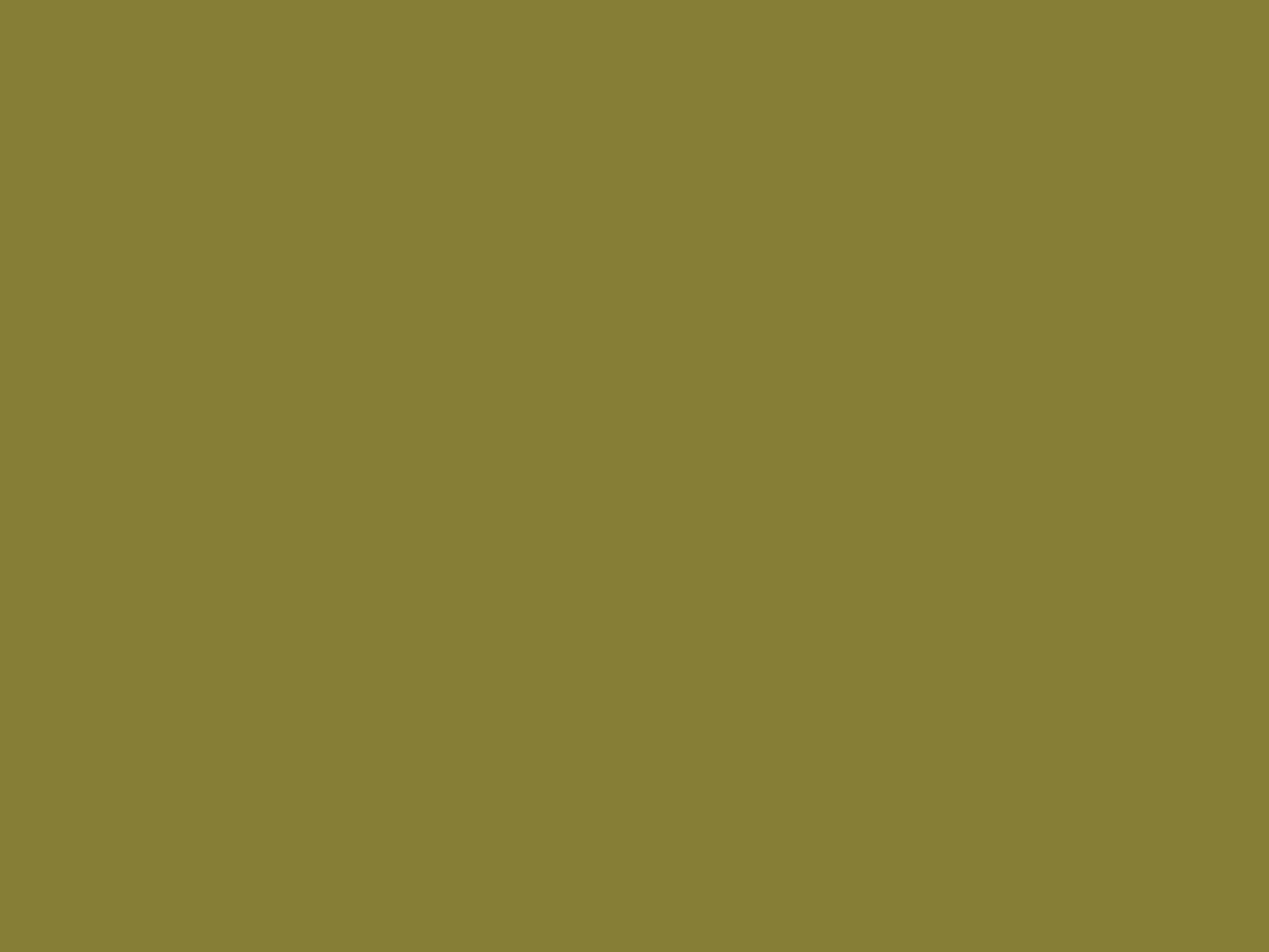 2048x1536 Old Moss Green Solid Color Background