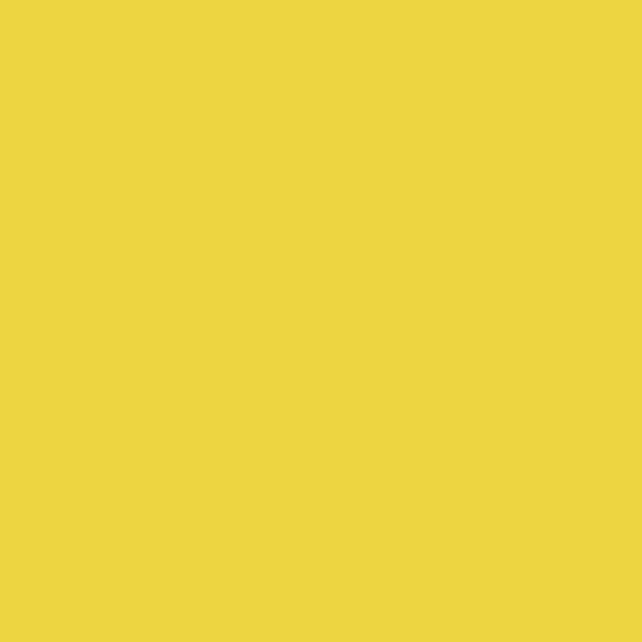 2048x2048 Sandstorm Solid Color Background