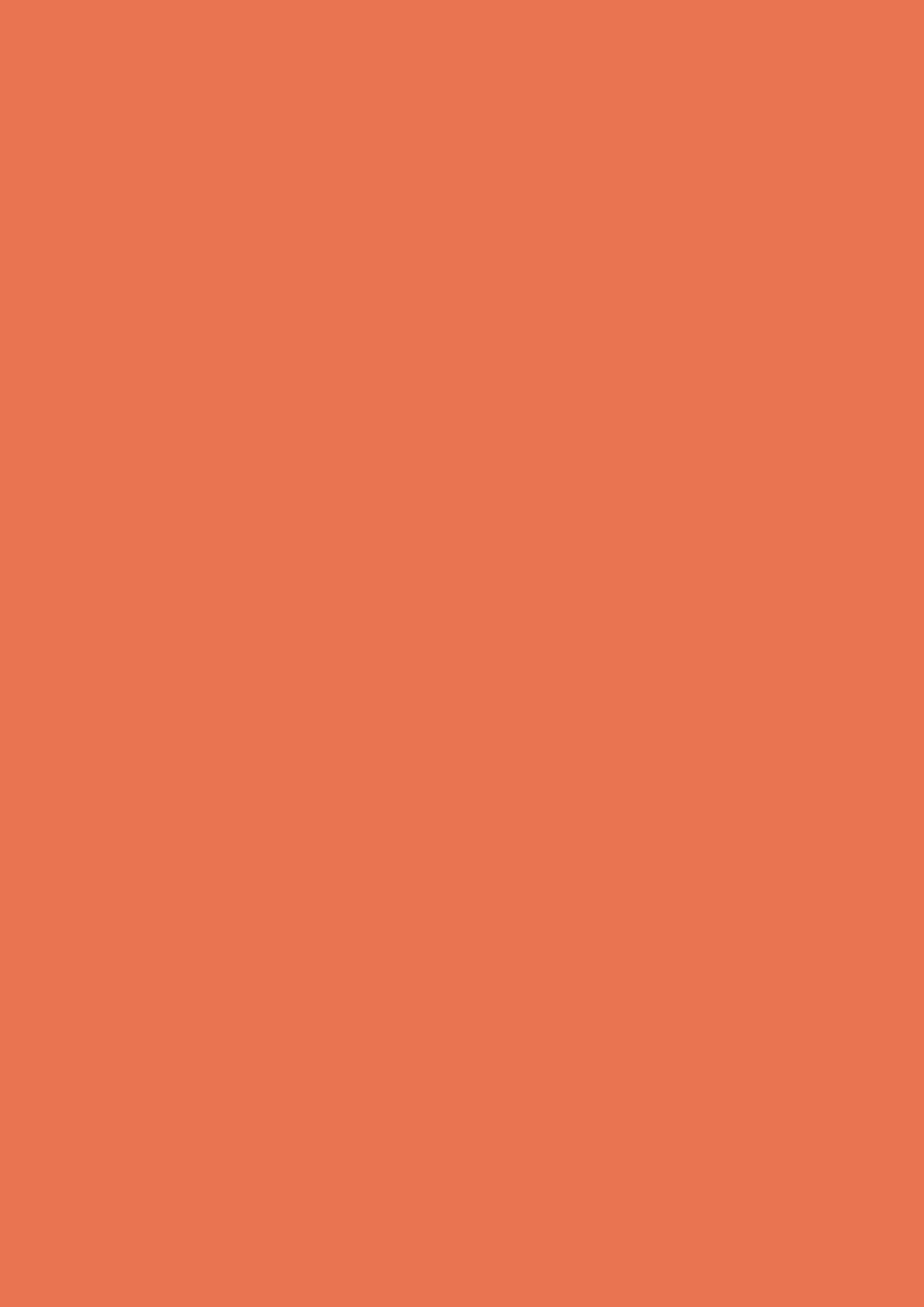 2480x3508 Burnt Sienna Solid Color Background