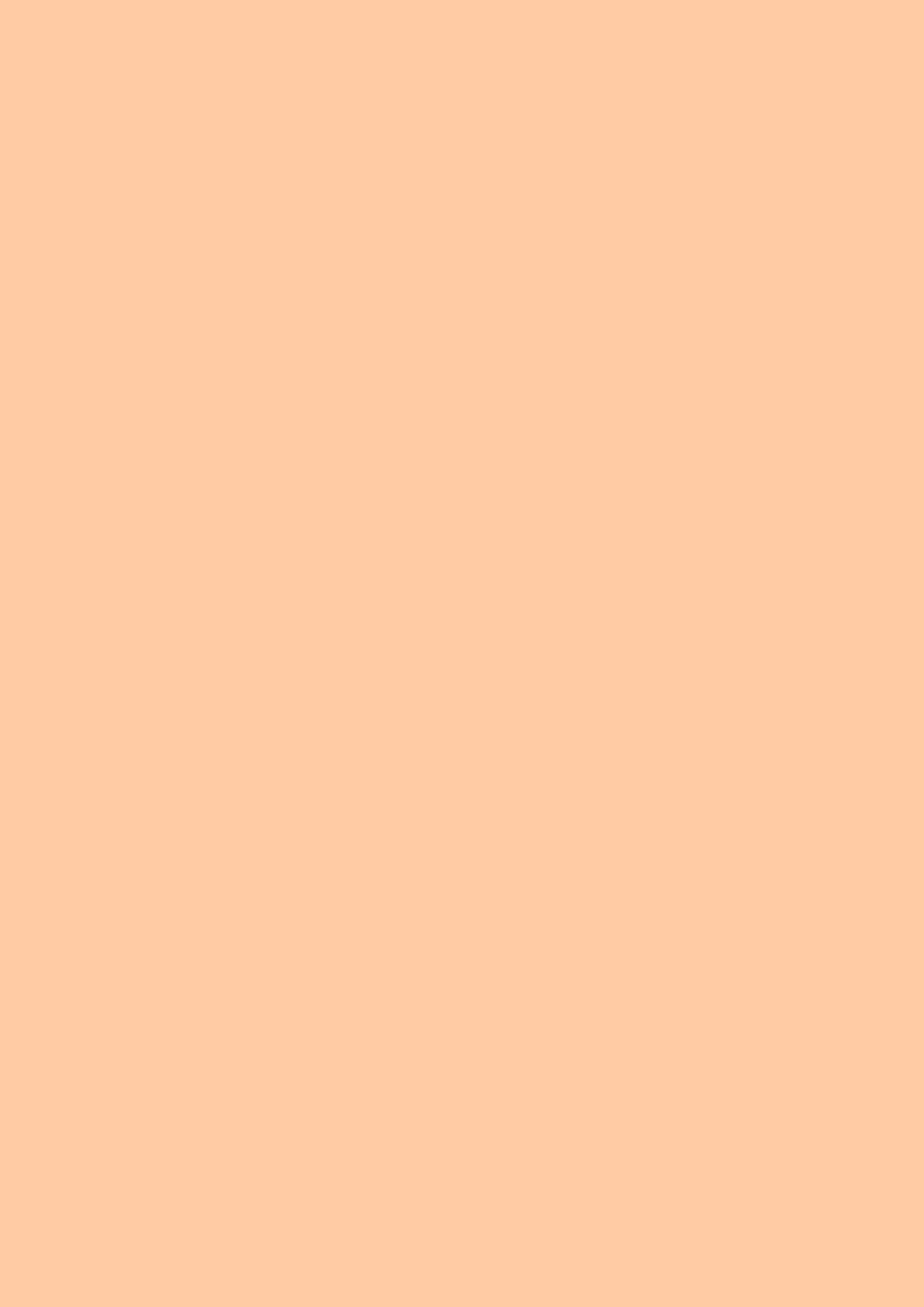 2480x3508 Deep Peach Solid Color Background