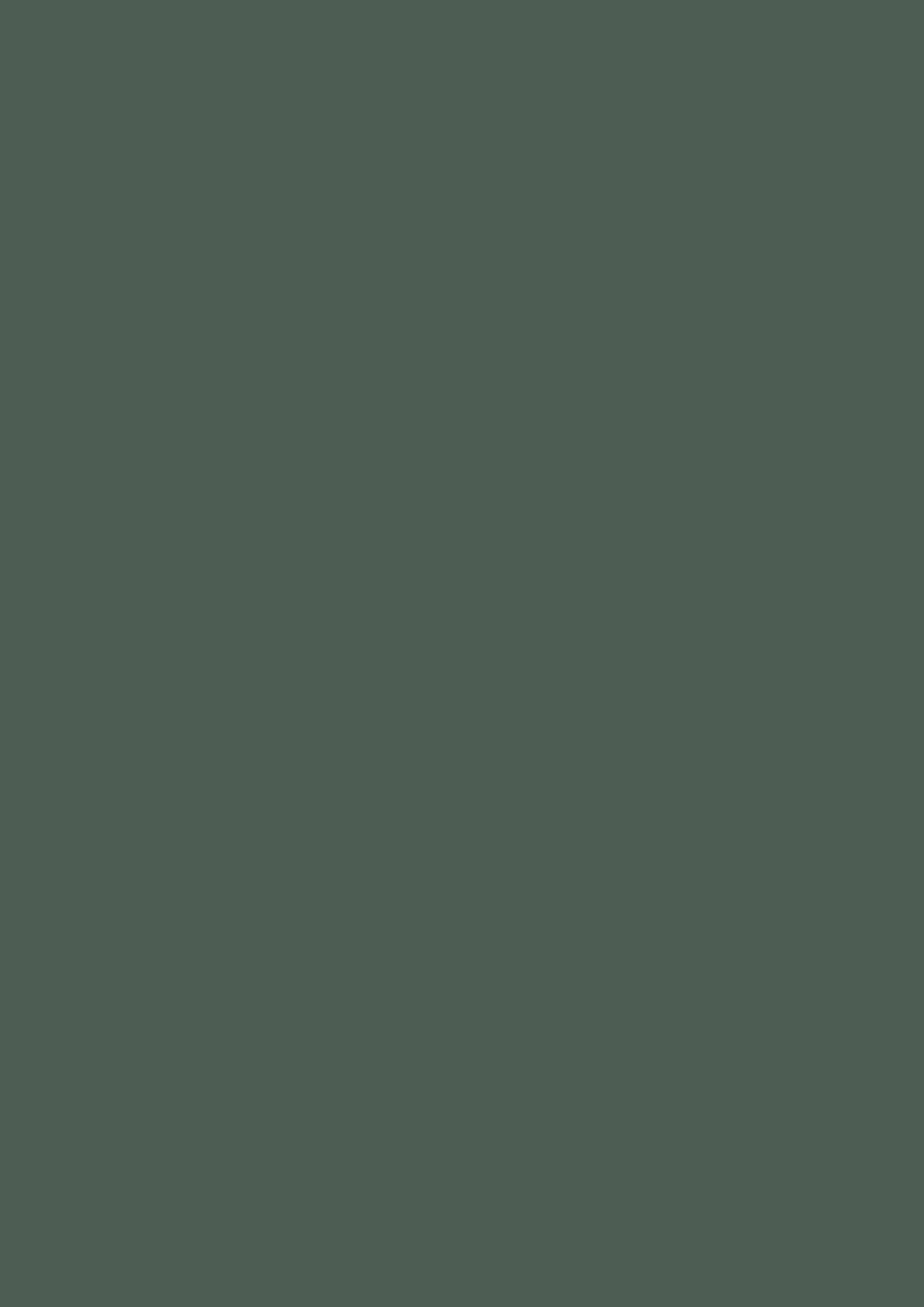 2480x3508 Feldgrau Solid Color Background