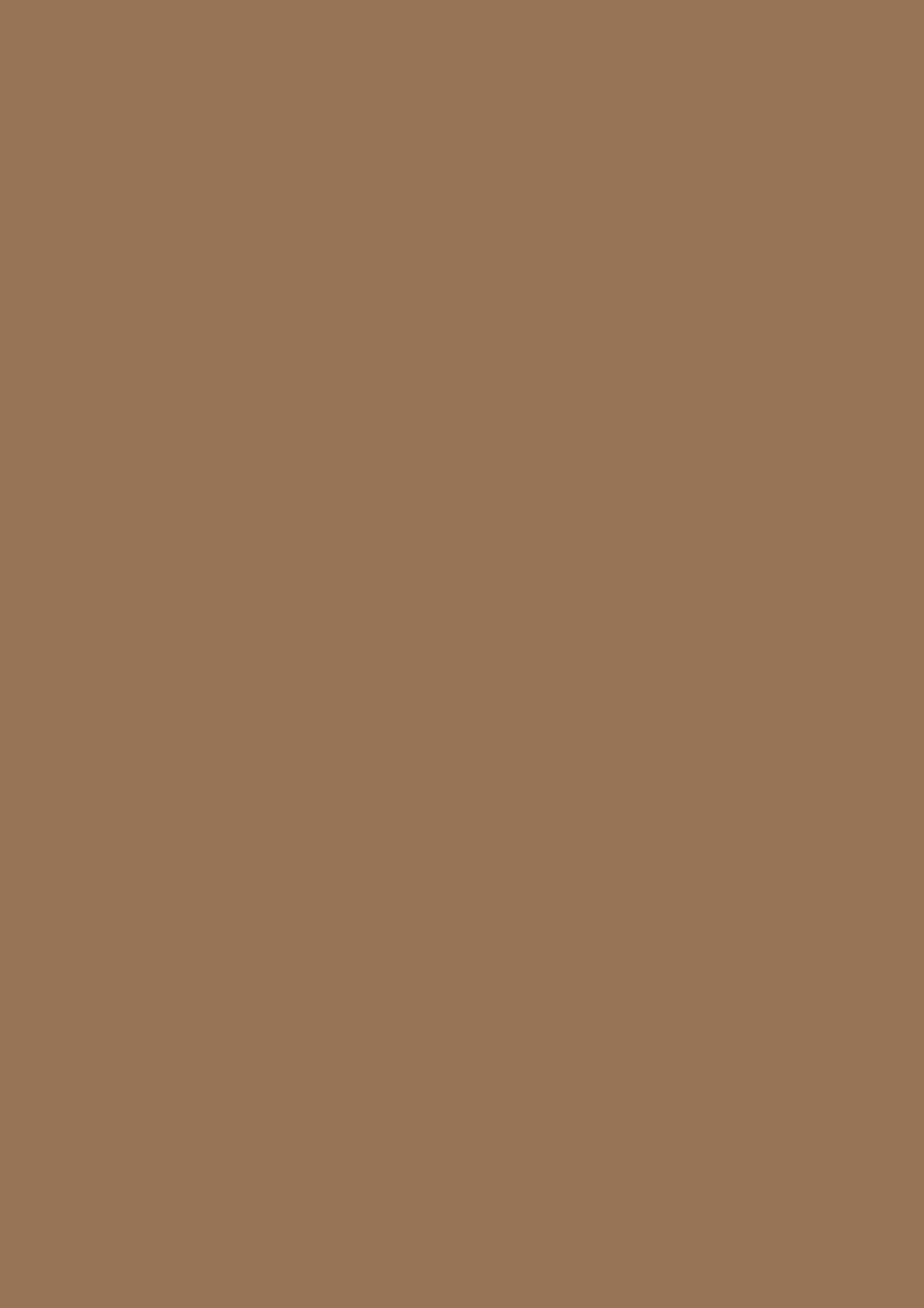 2480x3508 Liver Chestnut Solid Color Background