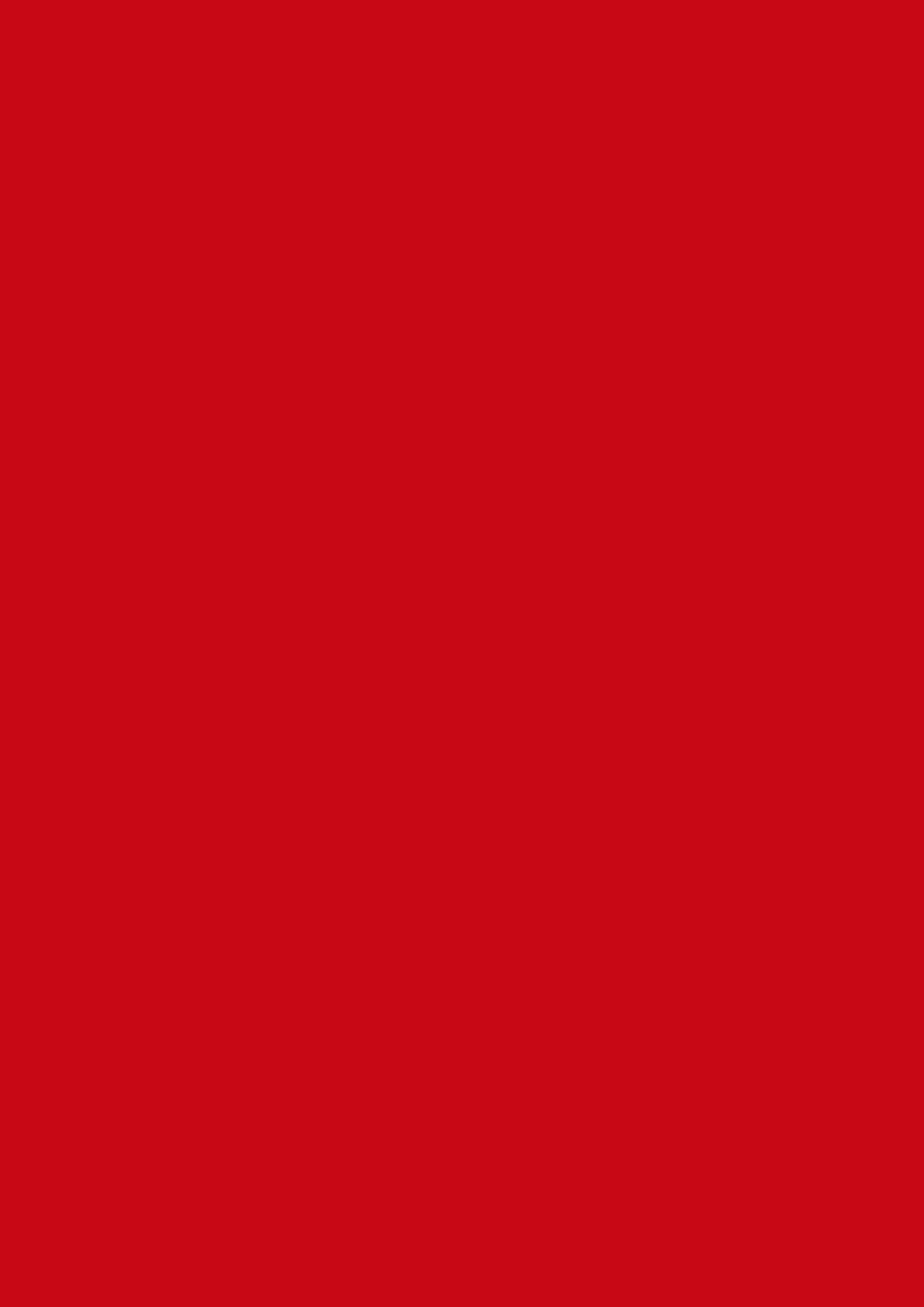 2480x3508 Venetian Red Solid Color Background