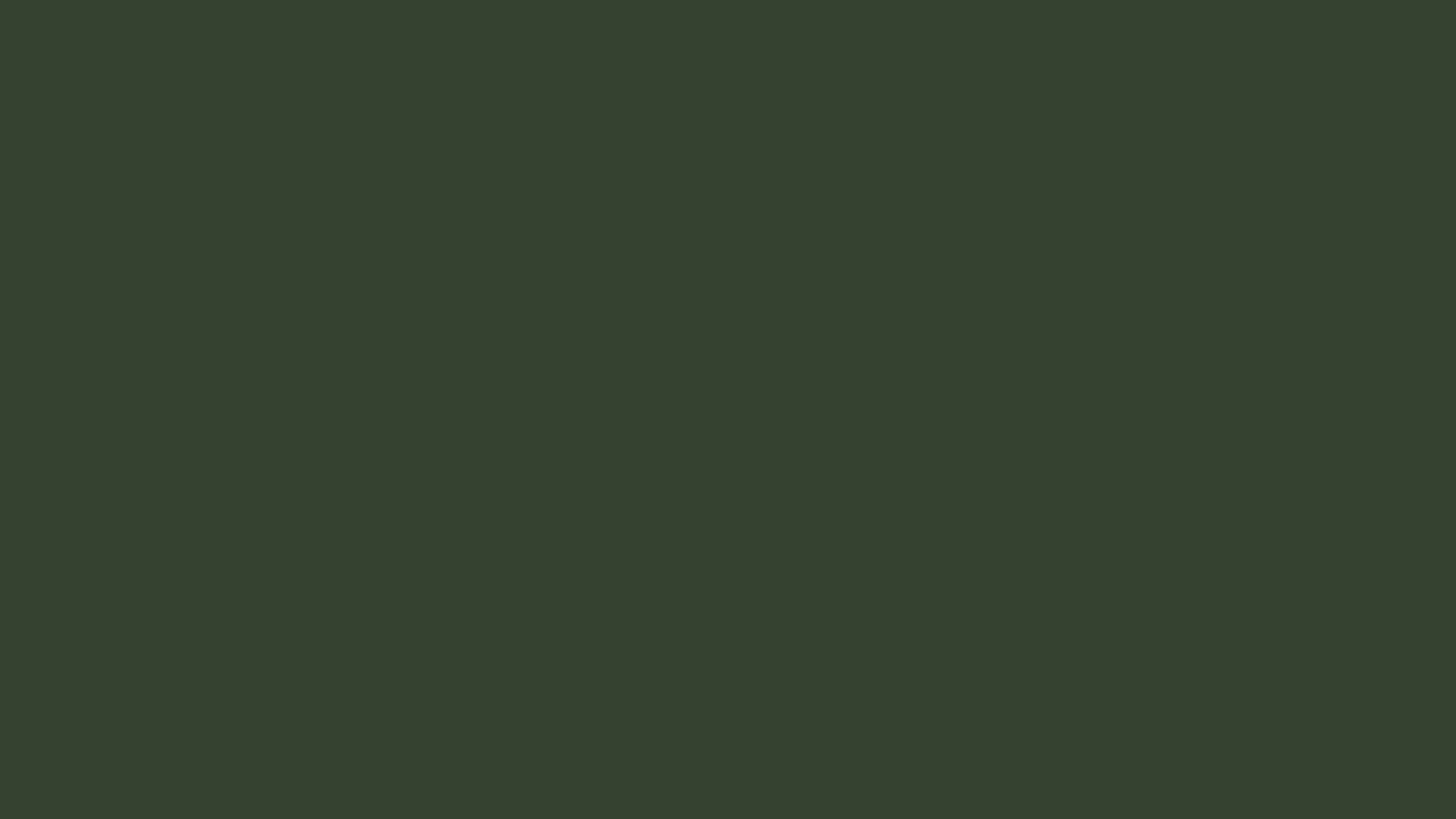 2560x1440 Kombu Green Solid Color Background