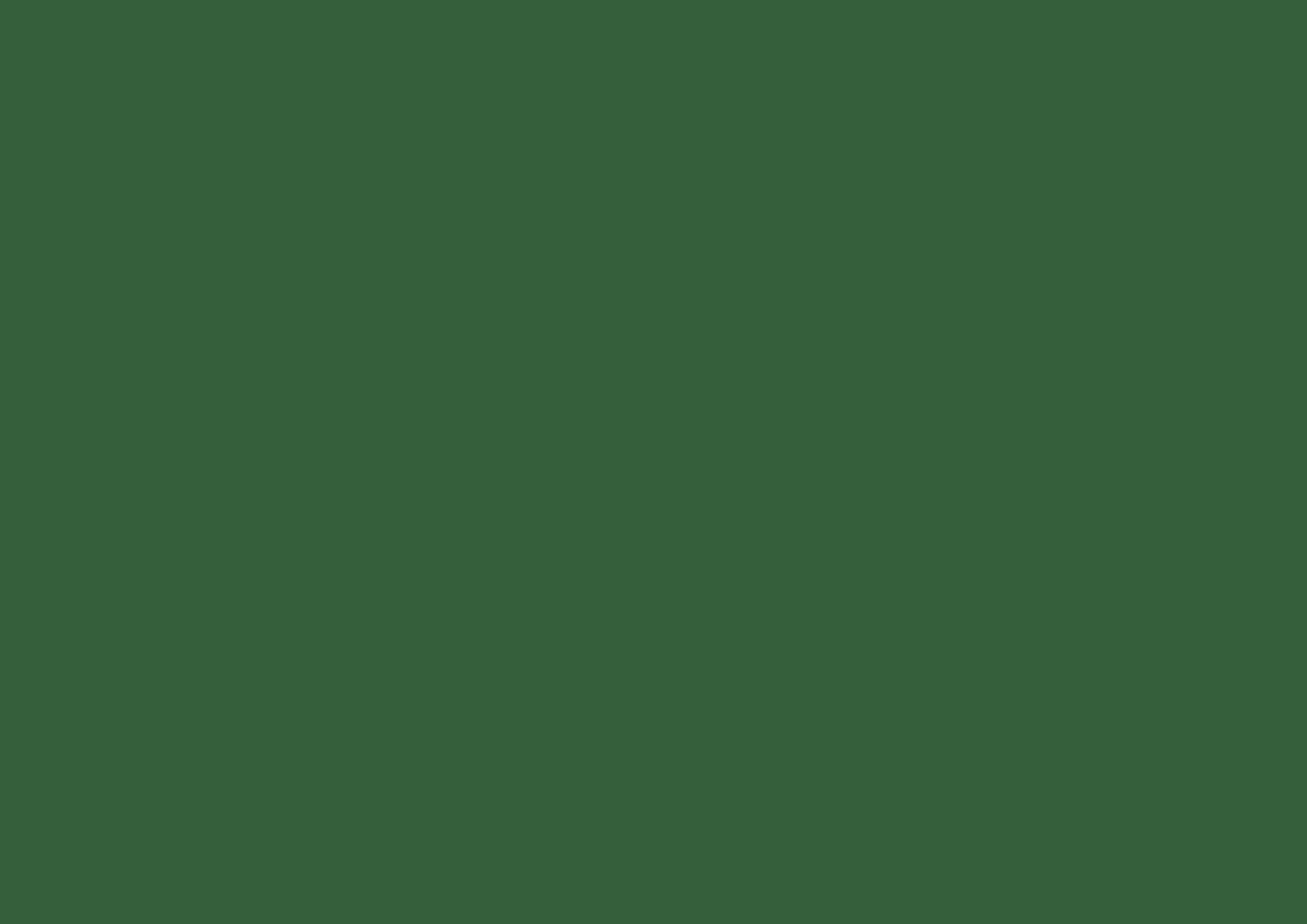 3508x2480 Hunter Green Solid Color Background
