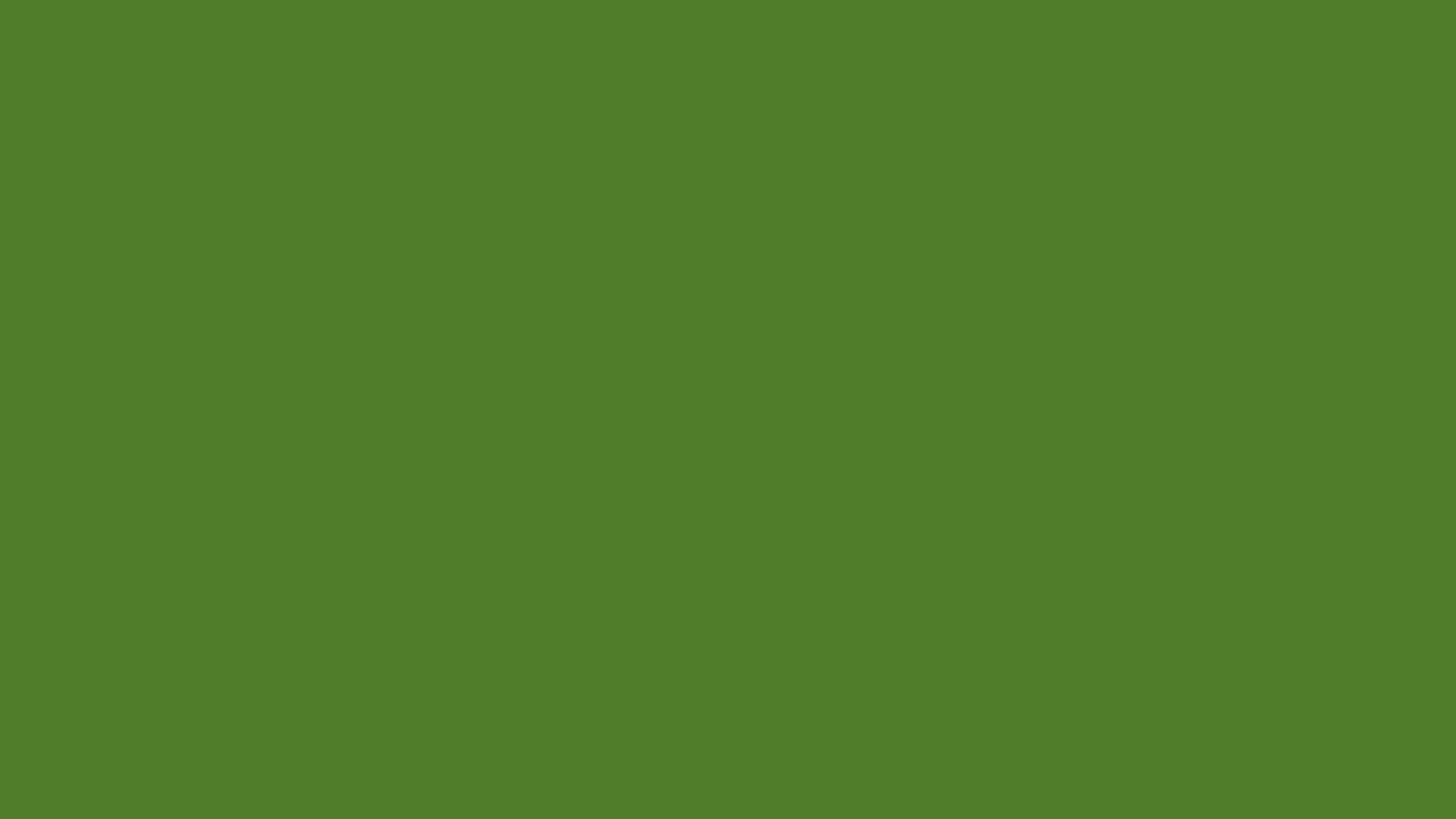 3840x2160 Sap Green Solid Color Background