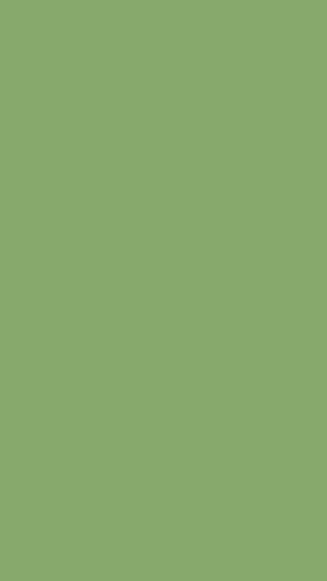 640x1136 Asparagus Solid Color Background