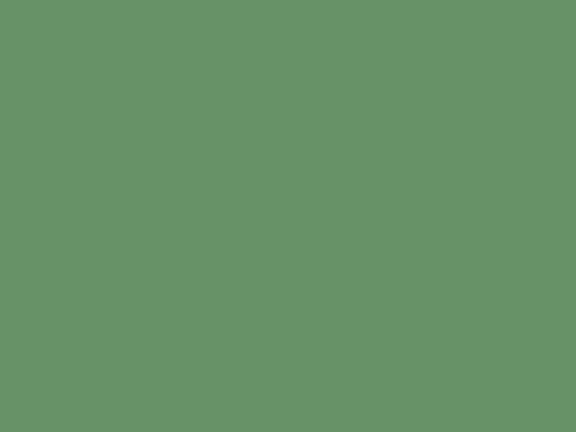 640x480 Russian Green Solid Color Background