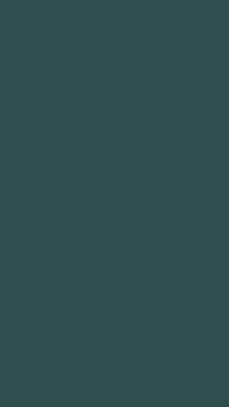 750x1334 Dark Slate Gray Solid Color Background