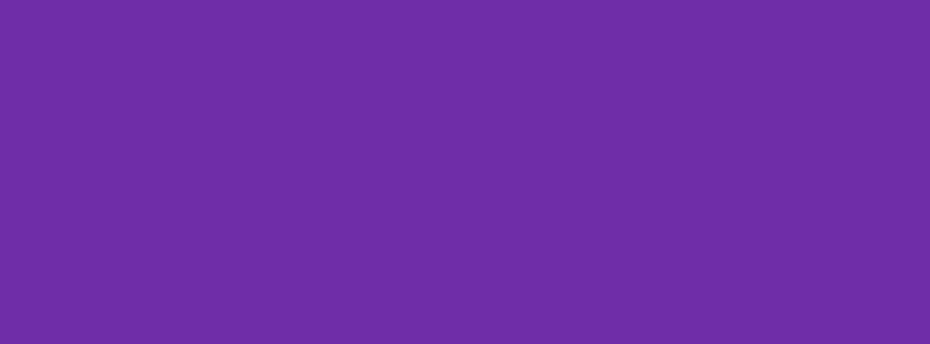 851x315 Grape Solid Color Background