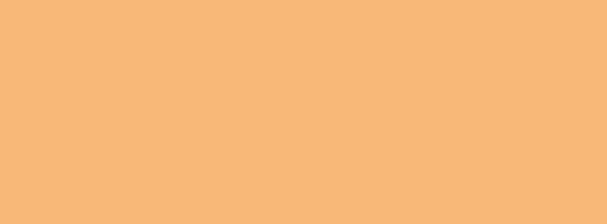 851x315 Mellow Apricot Solid Color Background